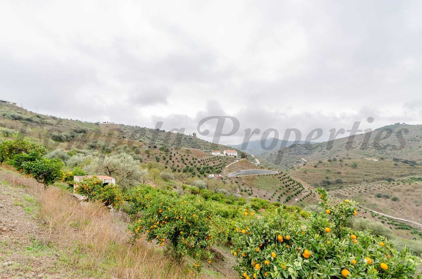 Rustic Land in Corumbela · Corumbela