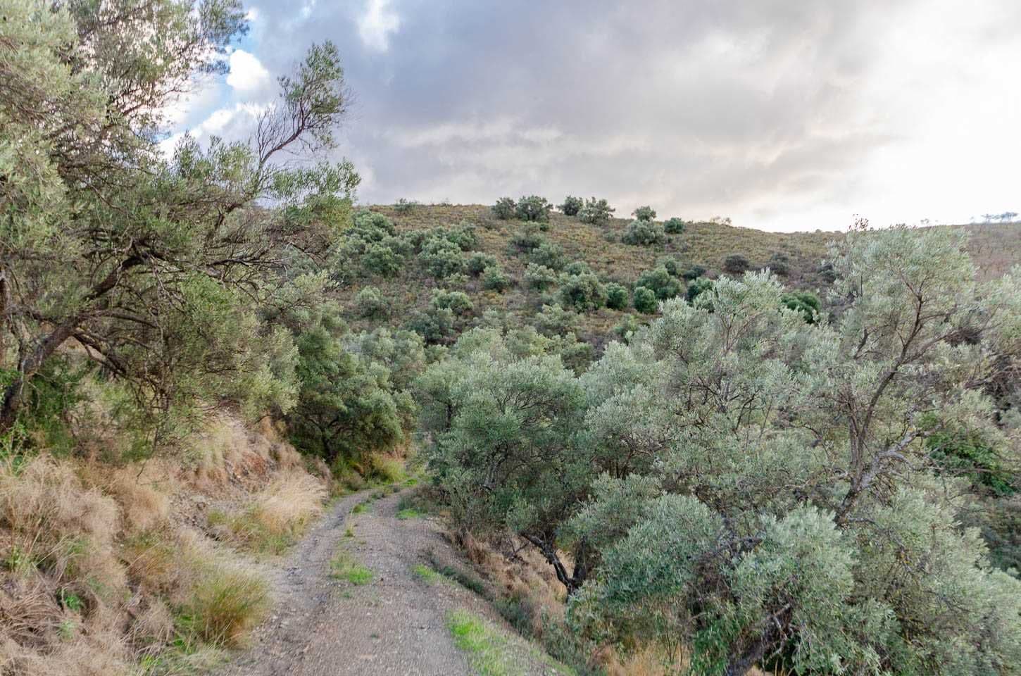 Photo 3 sur 8 — Terrain Rustique à Salares · Salares