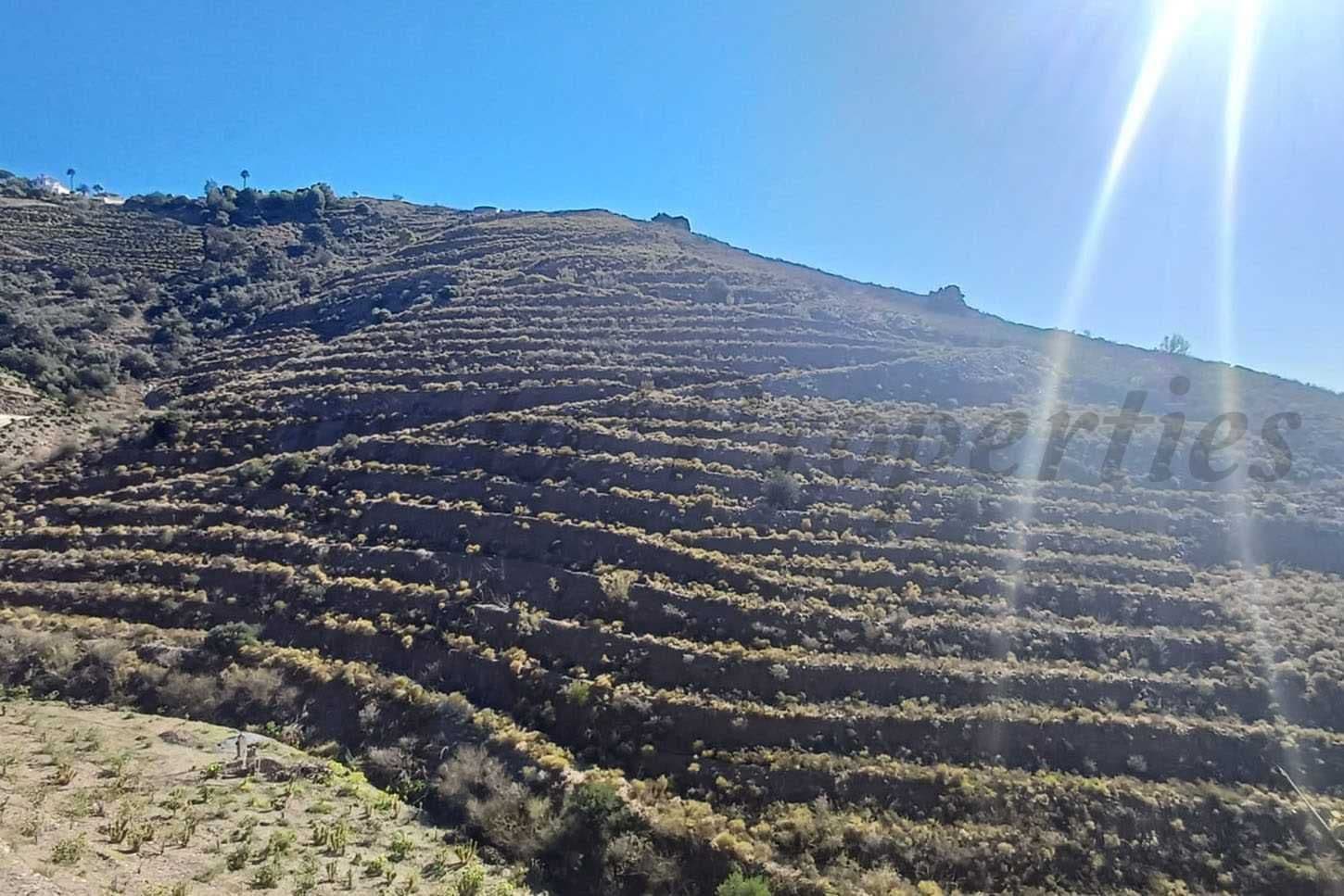 Photo 1 sur 5 — Terrain Rustique à Vélez-Málaga · Vélez-Málaga