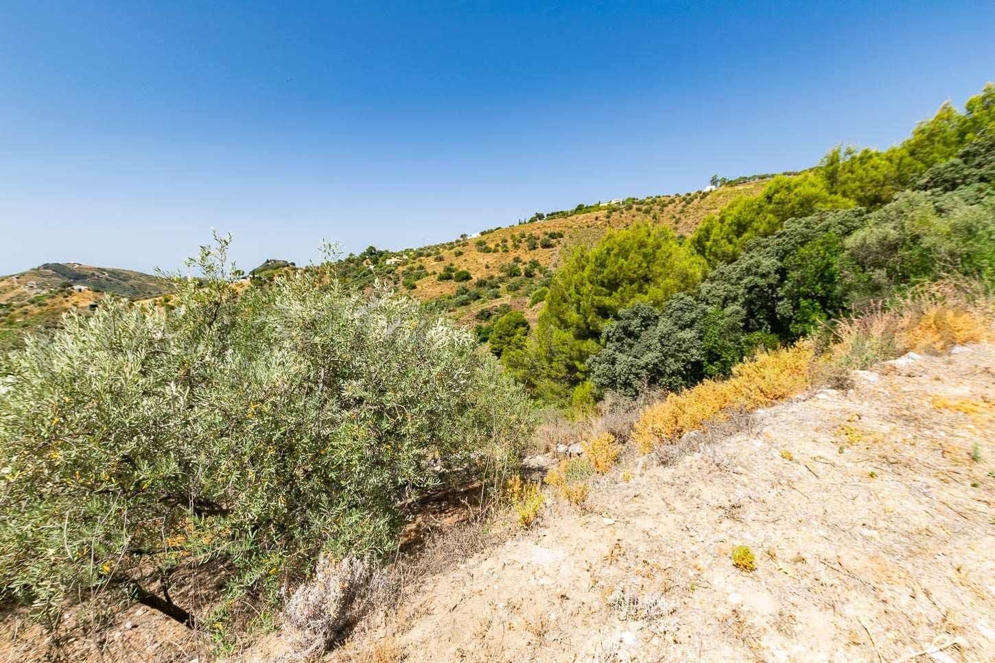 Terreno Rústico en Canillas de Albaida · Canillas de Albaida
