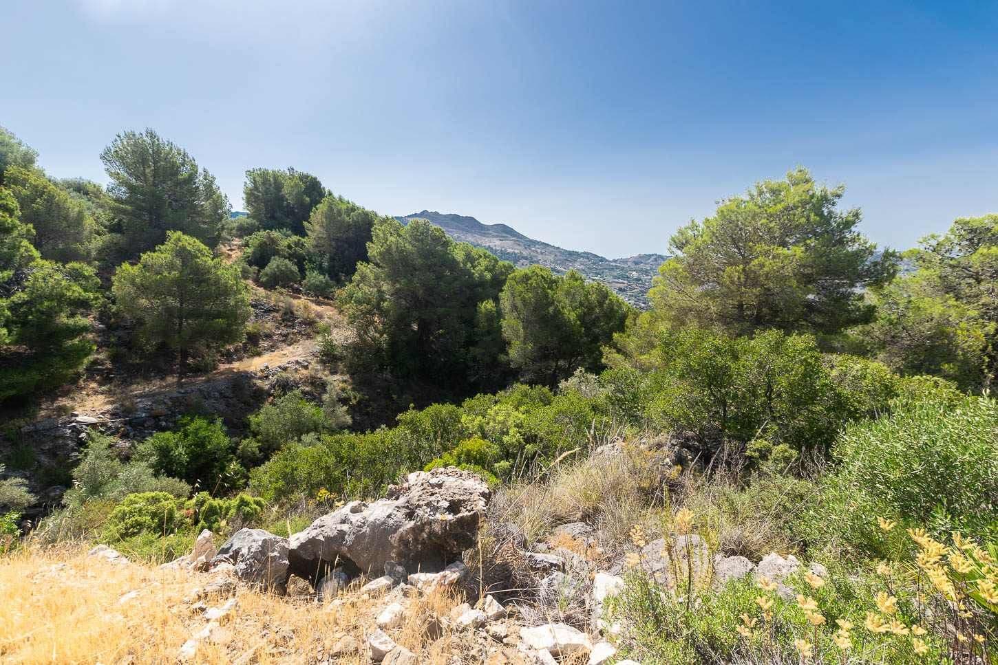 Terreno Rústico en Canillas de Albaida · Canillas de Albaida