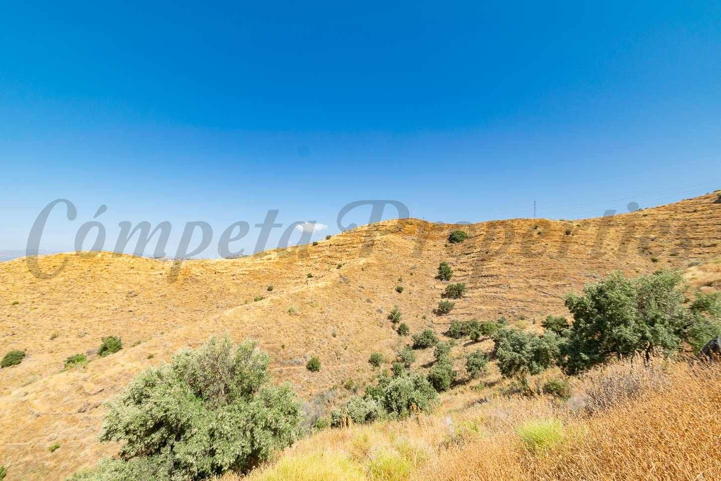 Photo 3 sur 6 — Terrain Rustique à Torrox-Costa · Torrox-Costa