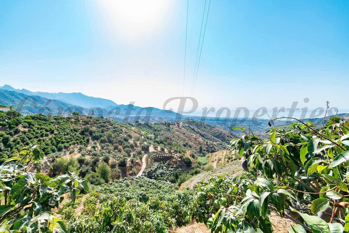 Terrain Rustique à Torrox · Torrox