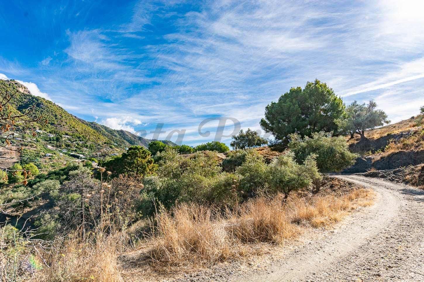 Rustic Land in Torrox · Torrox