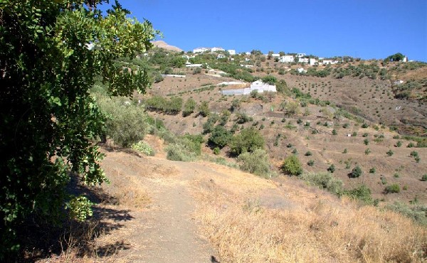 Ländliches Grundstück in Canillas De Albaida