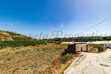 Terrain Agricole en Algarrobo
