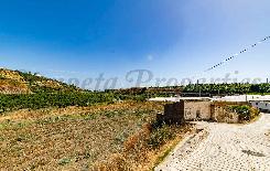 TP146, Mark i Algarrobo